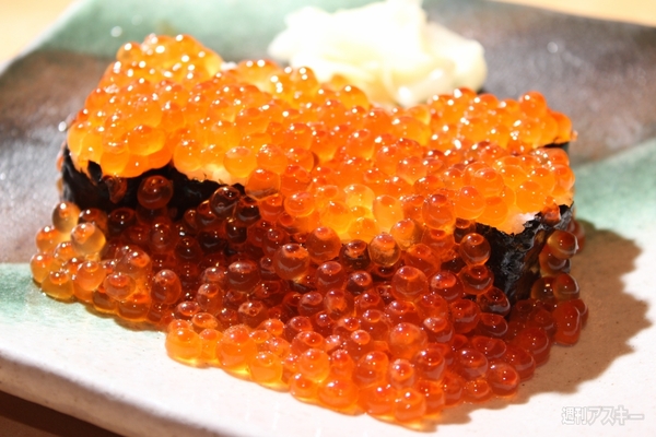 【アキバ食い倒れ部2013】寿司・海鮮