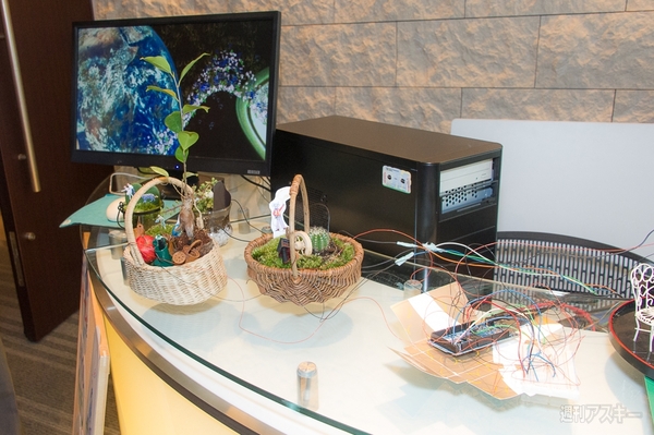 第肆回天下一カウボーイ大会　レポート