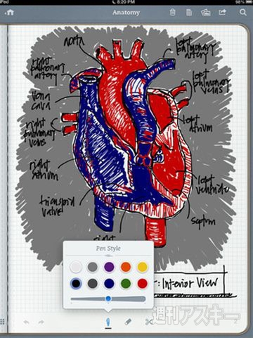 週刊ソーシャルニュース2013年2月11日