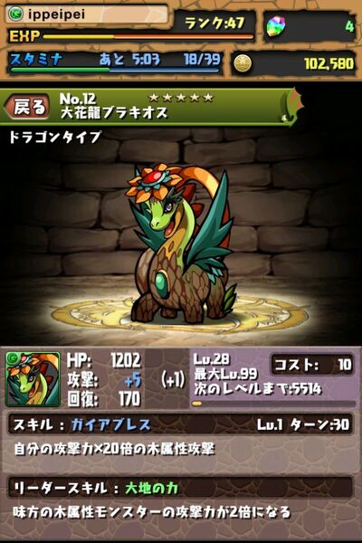 パズドラ：1週間前に始めた先輩を抜き打ちチェック