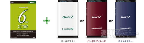 『6ヶ月定額SIM』