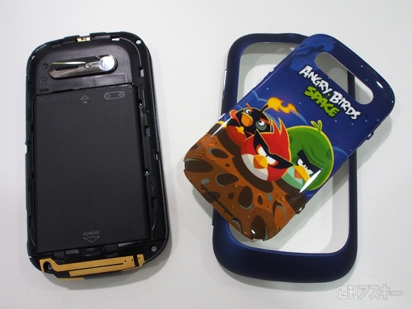 AngryBirdsSmartphone