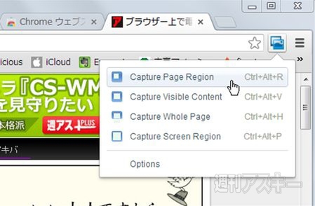 Screen Capture (by Google)