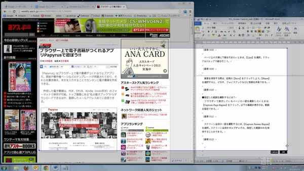 Screen Capture (by Google)
