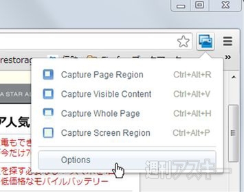 Screen Capture (by Google)