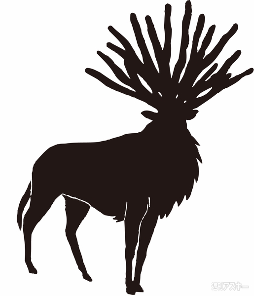 20130305princess MONONOKE 001