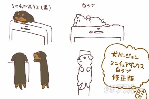 わんこがちょこんと座ったイヤホンジャックカバーと飛びつきにゃんこ