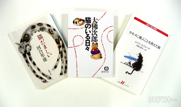 私のハマった3冊