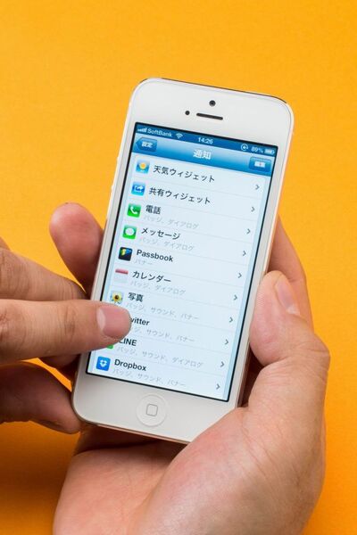 PLANEX パワージャケットFor iPhone5 PL-POWERJ