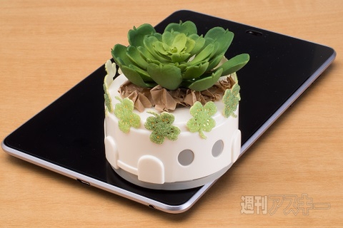 『オートミーＳ』写真