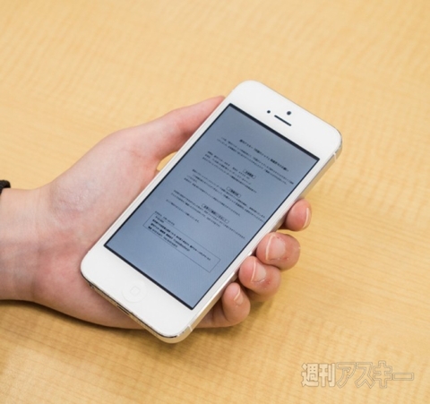 iPhytter タイアップ