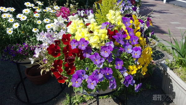 Lumia 720はノキアのグローバルスタンダード！ 最新WP8国内最速レビュー