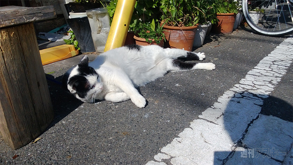 Lumia 720はノキアのグローバルスタンダード！ 最新WP8国内最速レビュー