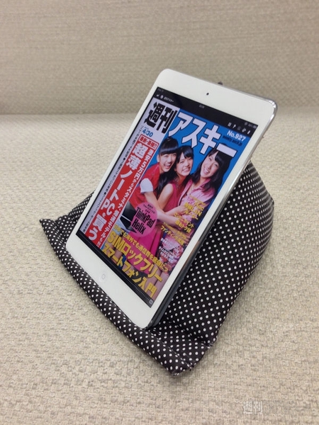 Apple純正っぽいアレからスマホ座布団まで ～魅惑のボツ付録たち