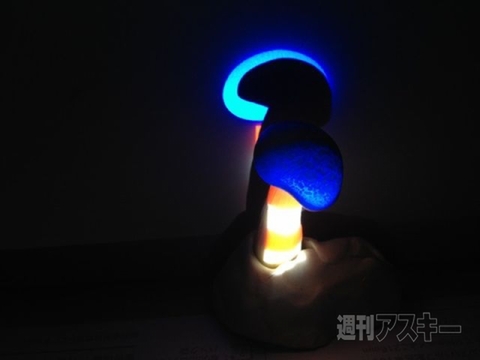 しめじェクションマッピング