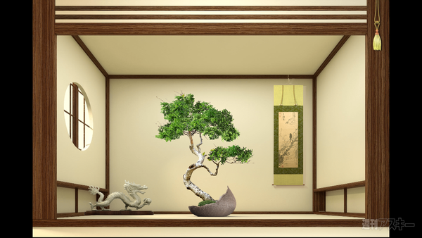 bonsai master