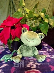 描画カメラ：GWアプリコンテスト