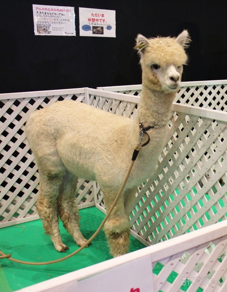 ちょっとこわい