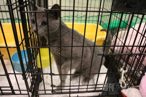 あまえんぼうでした