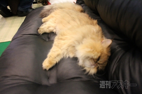 なんということでしょう