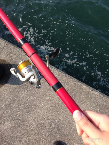 パズドラ：ノーマルダンジョンをススメられる