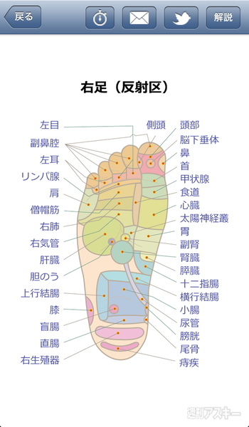 肩こりや美容に最適のつぼがわかるiphoneアプリ つぼのツボ 週刊アスキー