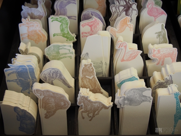 130522_moro_cameragirl02