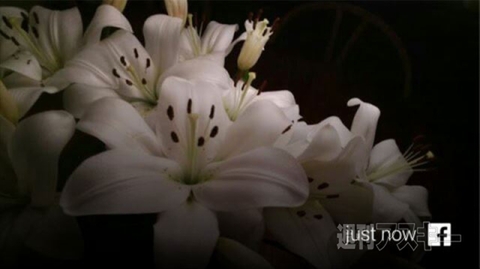 週刊ソーシャルニュース2013年5月27日