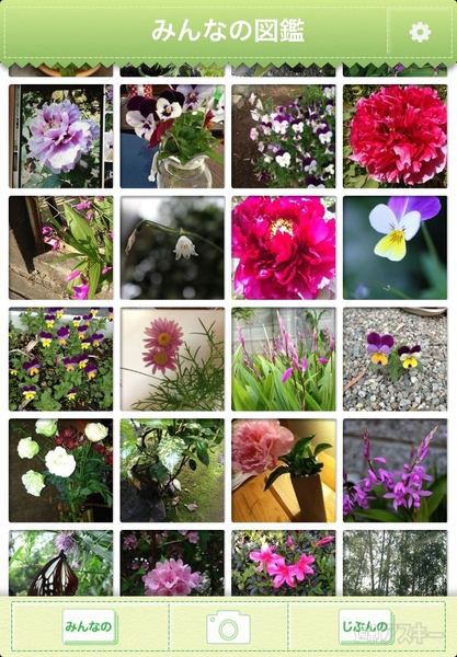 梅雨を快適に乗り切るための5つのアプリ