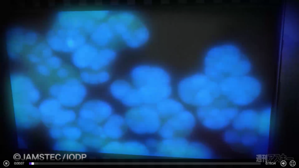 J-WAVE PODCAST STATION