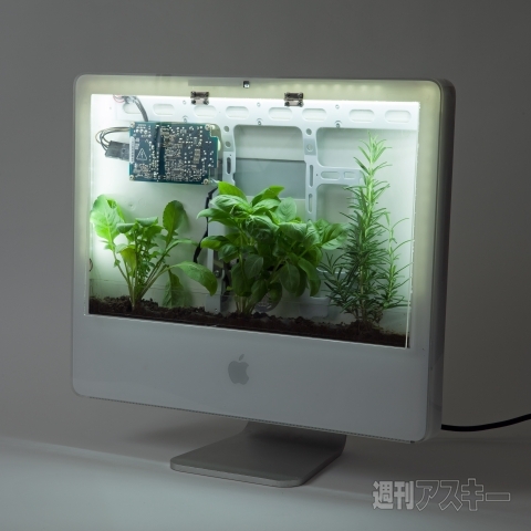 130607_moro_makaizou01