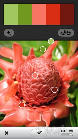 被写体から色を“採る”iPhoneアプリ、Adobe Kuler