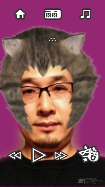 936イチオシトイ