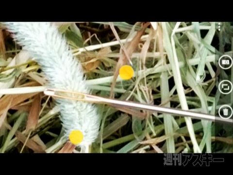 ノキアが4100万画素カメラ搭載スマホ『Lumia 1020』発表