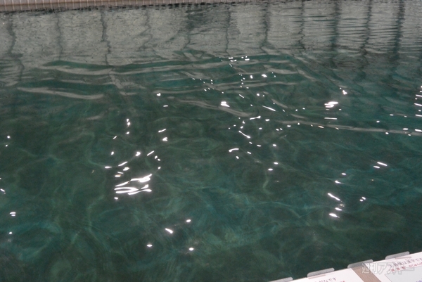 水の表面に文字が！海技研の実海域再現水槽がスゴイ