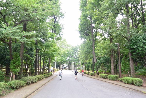 水の表面に文字が！海技研の実海域再現水槽がスゴイ