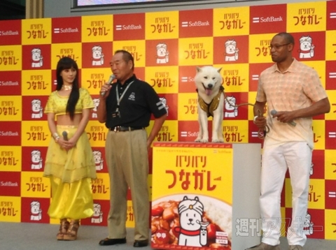 バリバリつなガレー