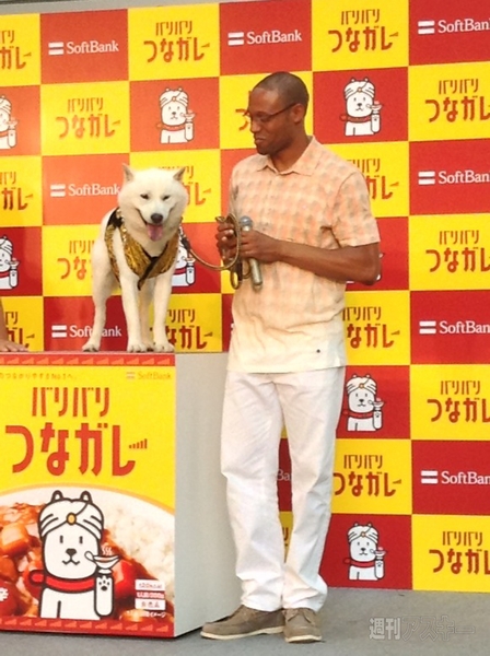 バリバリつなガレー