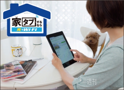 ソネットがお得