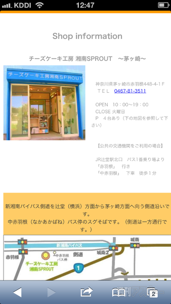 Web情報のスクリーンショット