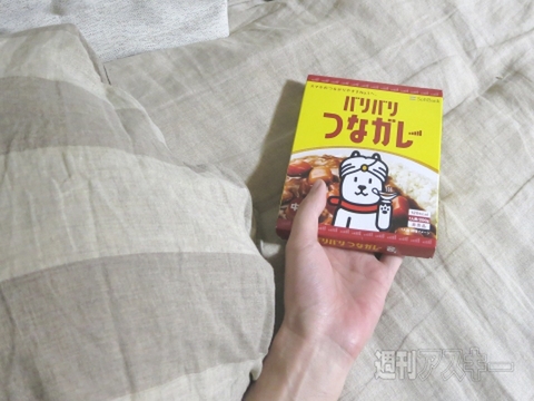 バリバリるなガレー試食レポ