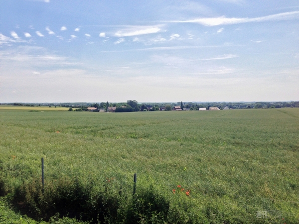 菊タローさんパリ大会に行くの巻