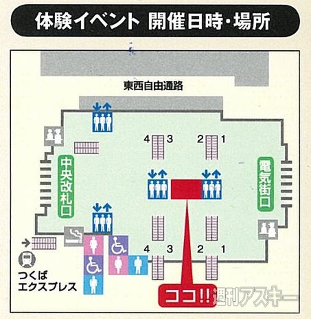 プログラマブルNFCディスク