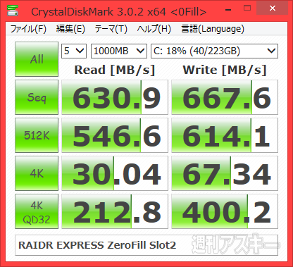 RAIDR Express PCIe SSD