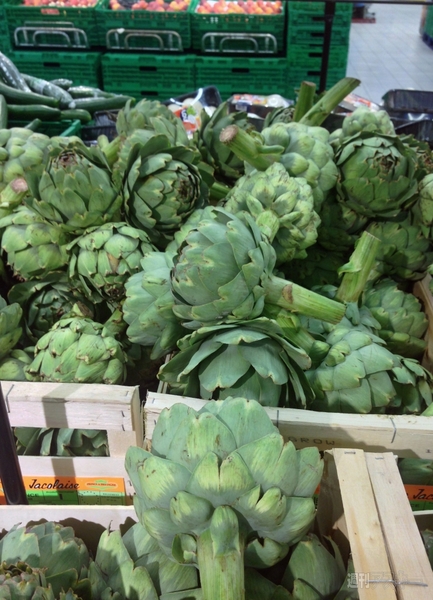 菊タローさんジャパンエキスポで暴れるの巻 