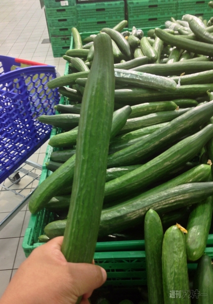 菊タローさんジャパンエキスポで暴れるの巻 