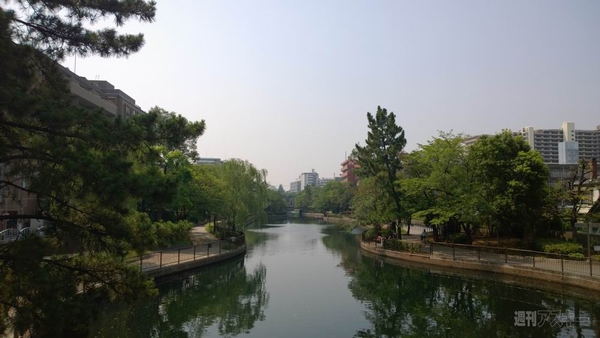 4100万画素のLumia 1020を実写画像付きで最速レビュー