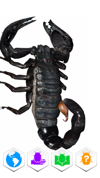 巨虫図鑑