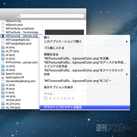 130821_moro_treasure_00