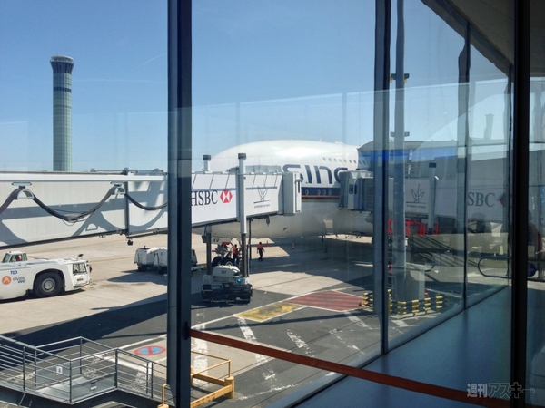 菊タローが行く！世界周遊ルーターでデジタルトラベルするぞの巻